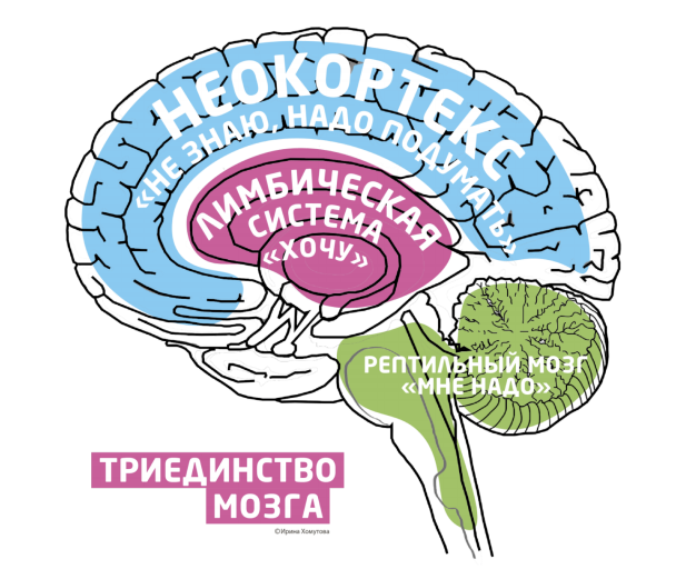 Психолого-педагогическое сопровождение детей с тяжелыми множественными нарушениями развития