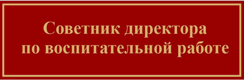 Организация деятельности советника руководителя по воспитательной работе в образовательной организации